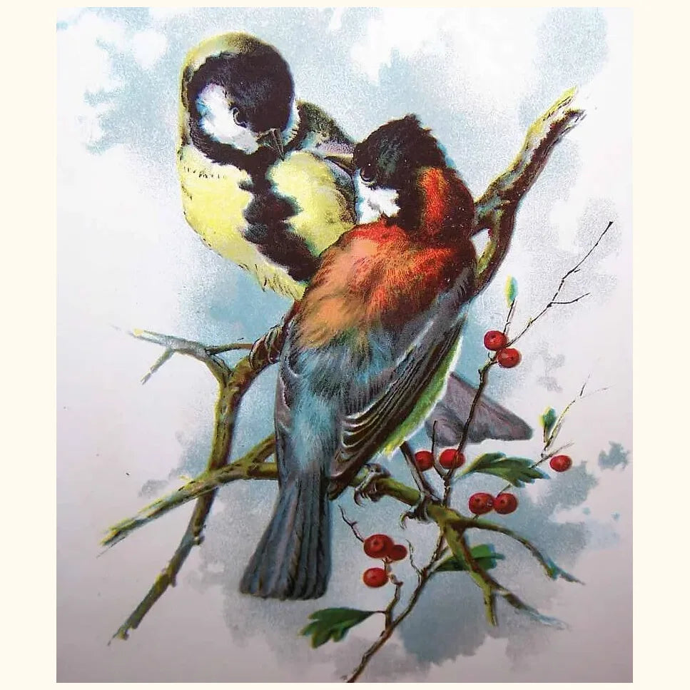 Antique Chromolithogaph Book Plate by Catherine Klein - Colorful Birds
