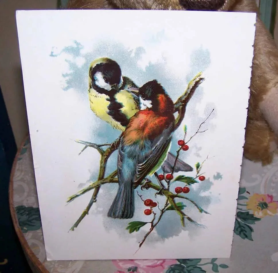 Antique Chromolithogaph Book Plate by Catherine Klein - Colorful Birds