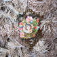Victorian Revival Mercury Glass Bead & Tinsel Christmas Ornament - Little Girl Portrait