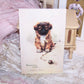 Raphael Tuck Oilette Postcard - Pekingese Puppy by Maud West Watson