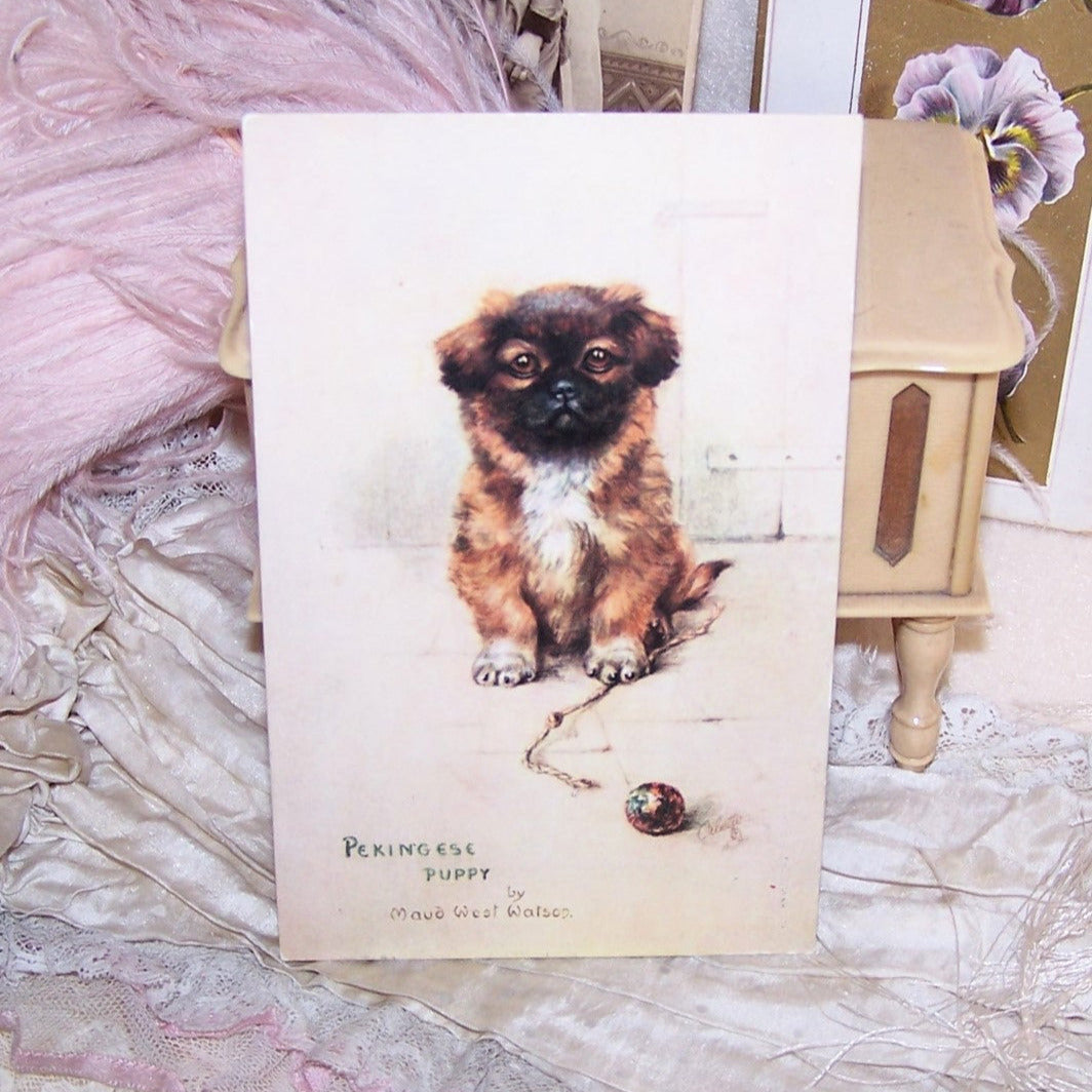 Raphael Tuck Oilette Postcard - Pekingese Puppy by Maud West Watson