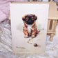 Raphael Tuck Oilette Postcard - Pekingese Puppy by Maud West Watson