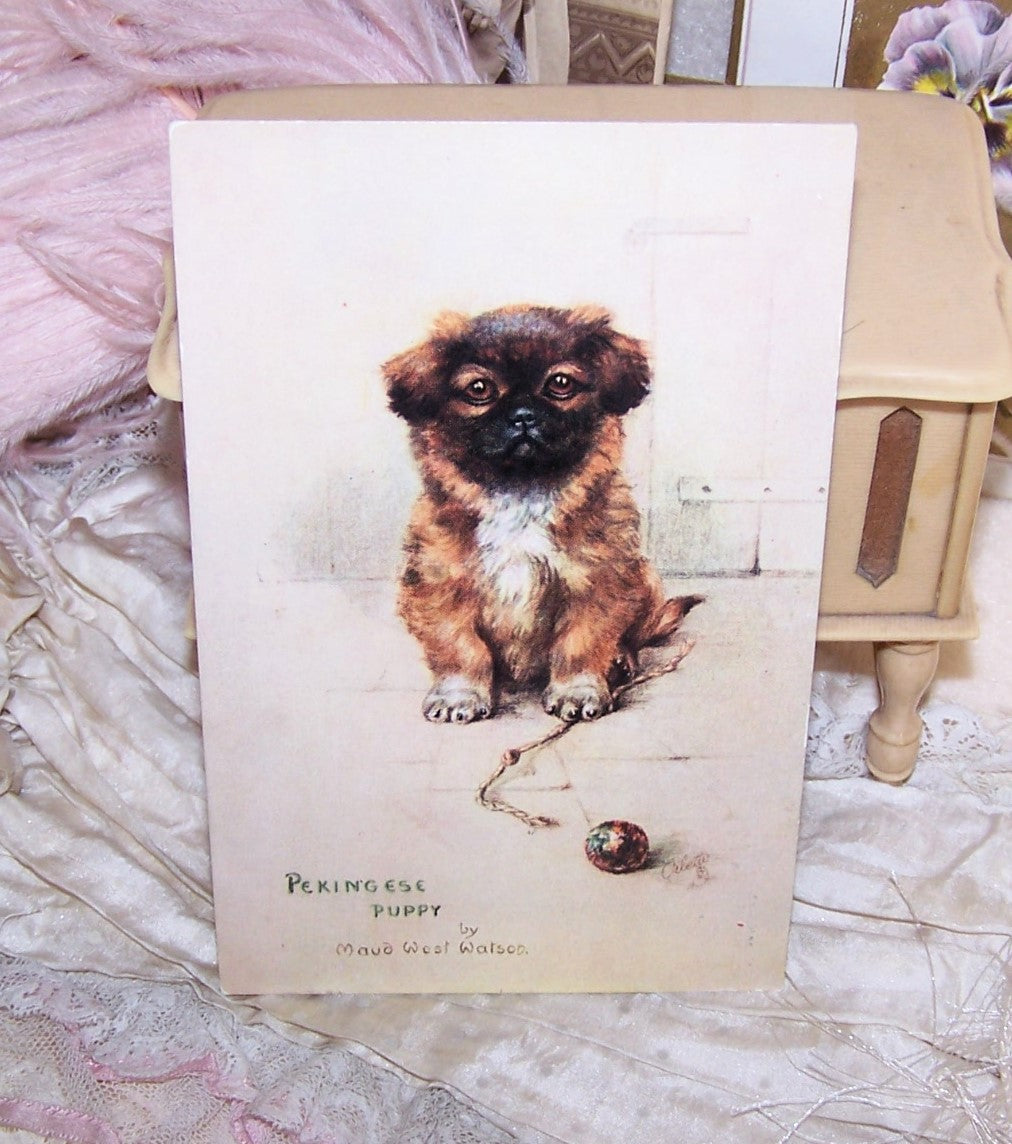 Raphael Tuck Oilette Postcard - Pekingese Puppy by Maud West Watson