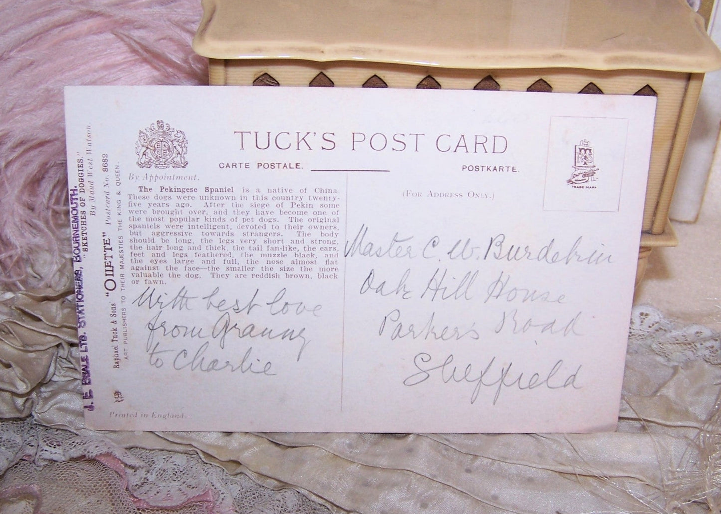 Raphael Tuck Oilette Postcard - Pekingese Puppy by Maud West Watson