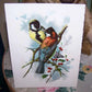 Antique Chromolithogaph Book Plate by Catherine Klein - Colorful Birds