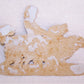 Antique Victorian Die Cut - Young Girl Holding 2 Dogs