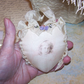Cream Silk and Rayon Heart Ornament - Image of a Young Edwardian Girl
